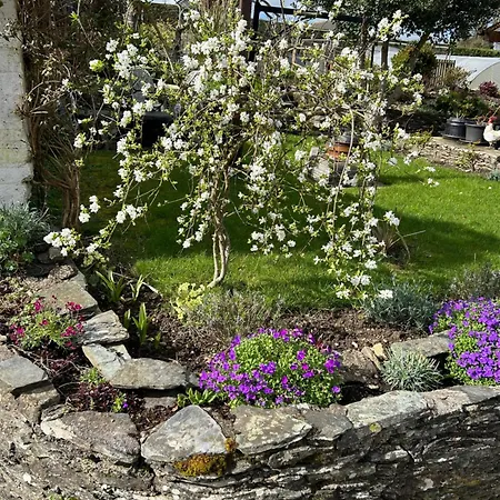 Homestay Haralyn Bunclody