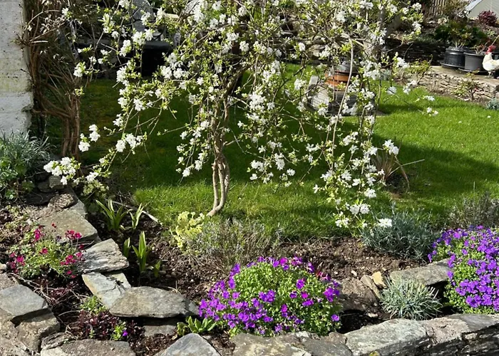 Проживание в семье Haralyn Банклоди