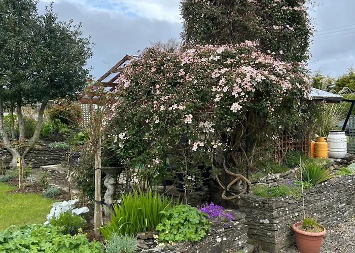 Haralyn * Банклоди